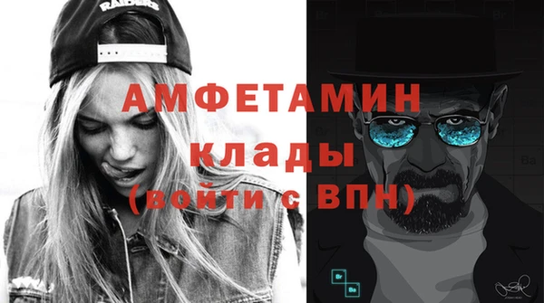 хмурый Тайга