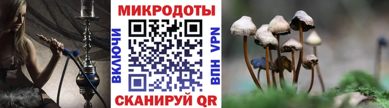 Купить где Гаджиево Псилоцибиновые грибы прущие грибы