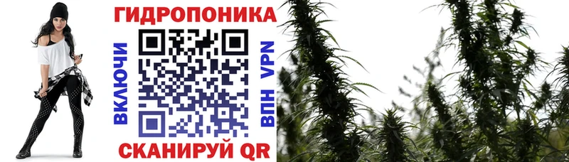 Купить закладки  Гаджиево  Канабис AK-47 